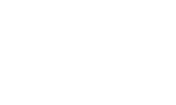 Bay Otto Scheer Logo